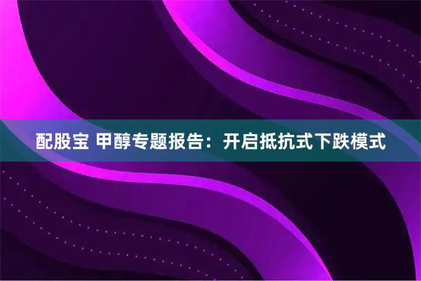 配股宝 甲醇专题报告：开启抵抗式下跌模式
