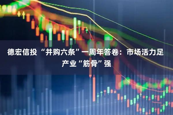 德宏信投 “并购六条”一周年答卷：市场活力足 产业“筋骨”强
