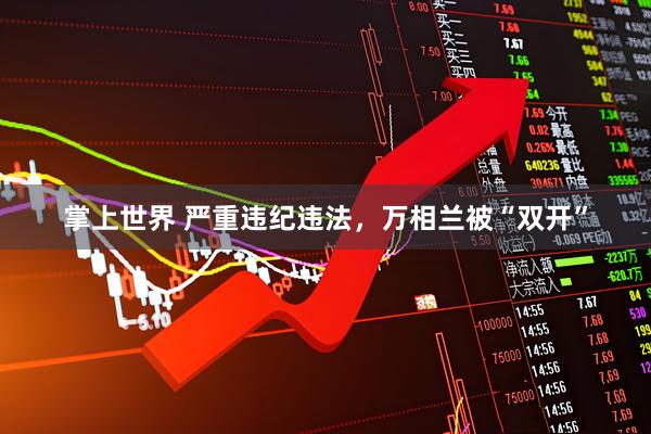 掌上世界 严重违纪违法，万相兰被“双开”