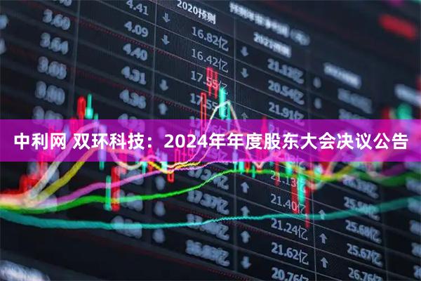 中利网 双环科技：2024年年度股东大会决议公告