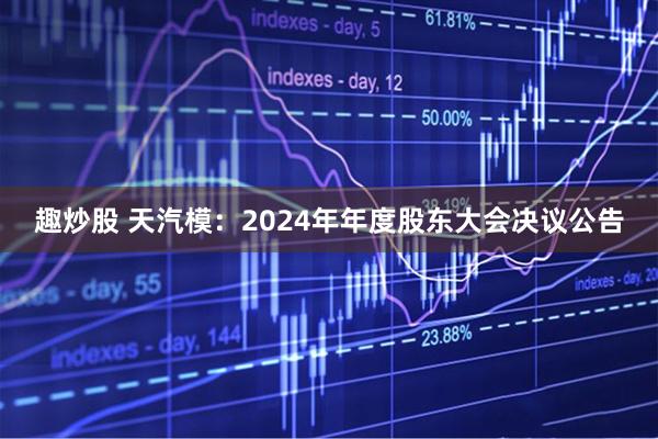 趣炒股 天汽模：2024年年度股东大会决议公告